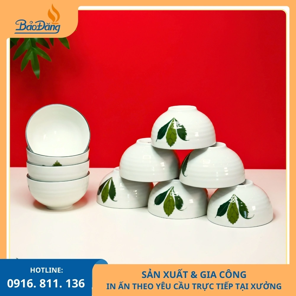 Bộ bát cơm men kem họa tiết lá xương rồng Bộ bát cơm men kem lá xương rồng nhận sản xuất theo đơn số lượng