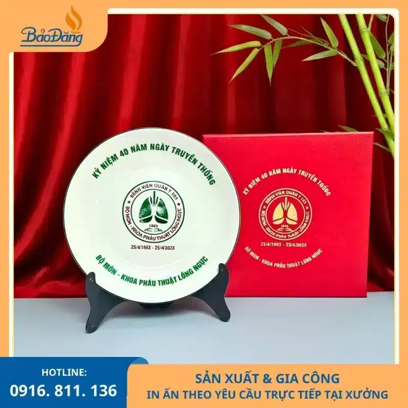 Đĩa trưng bày dùng trong lễ kỷ niệm 40 năm của bộ môn trường đại học